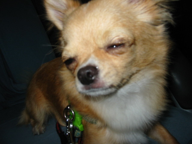 ���݂ʂ���������Ƃ��ʂ̂킳��