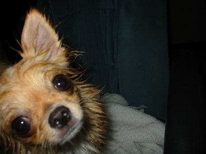 ���݂ʂ���������Ƃ��ʂ̂킳��