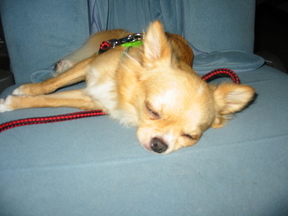 ���݂ʂ���������Ƃ��ʂ̂킳��