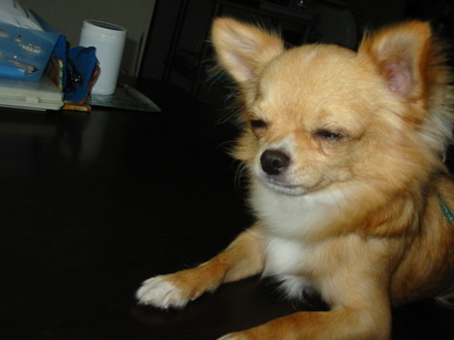 ���݂ʂ���������Ƃ��ʂ̂킳��