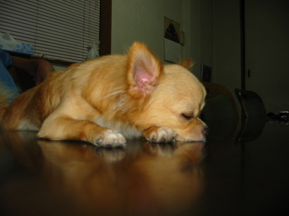 ���݂ʂ���������Ƃ��ʂ̂킳��