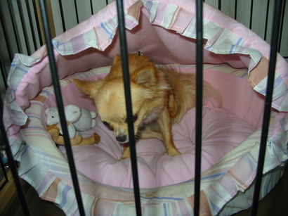 ���݂ʂ���������Ƃ��ʂ̂킳��