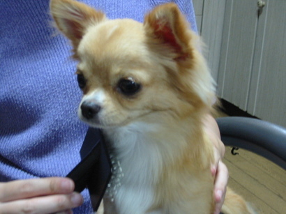 ���݂ʂ���������Ƃ��ʂ̂킳��