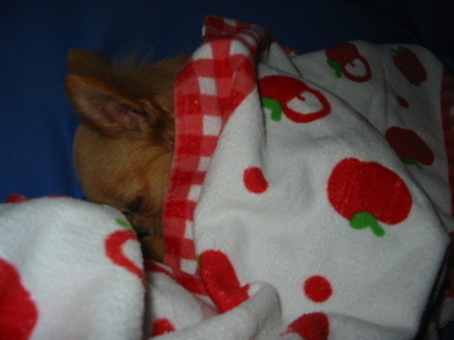 ���݂ʂ���������Ƃ��ʂ̂킳��