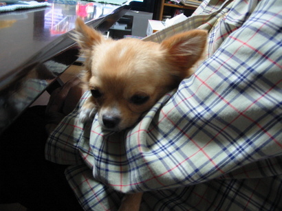 ���݂ʂ���������Ƃ��ʂ̂킳��