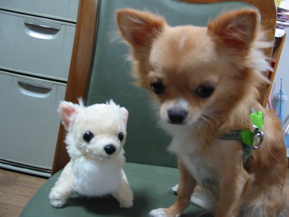 ���݂ʂ���������Ƃ��ʂ̂킳��