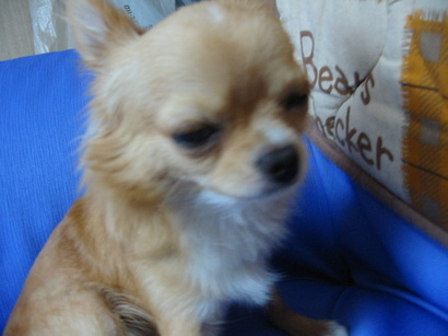 ���݂ʂ���������Ƃ��ʂ̂킳��