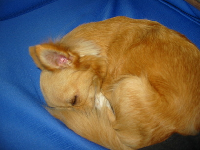 ���݂ʂ���������Ƃ��ʂ̂킳��