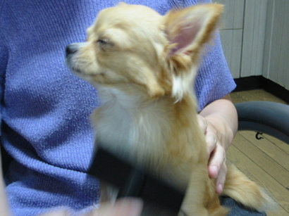 ���݂ʂ���������Ƃ��ʂ̂킳��