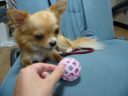 ���݂ʂ���������Ƃ��ʂ̂킳��