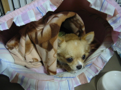 ���݂ʂ���������Ƃ��ʂ̂킳��