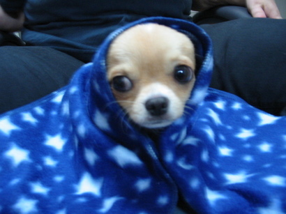 ���݂ʂ���������Ƃ��ʂ̂킳��