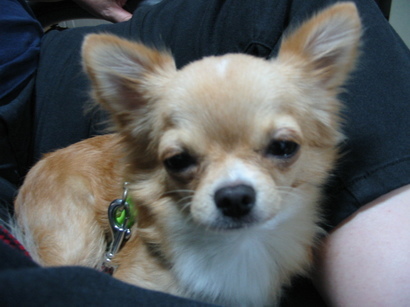 ���݂ʂ���������Ƃ��ʂ̂킳��