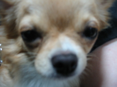 ���݂ʂ���������Ƃ��ʂ̂킳��