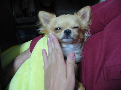 ���݂ʂ���������Ƃ��ʂ̂킳��