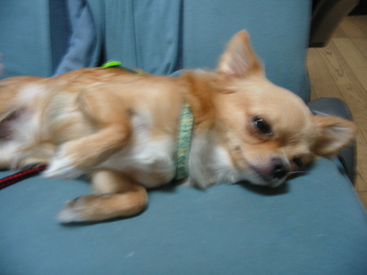 ���݂ʂ���������Ƃ��ʂ̂킳��