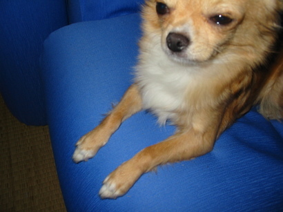 ���݂ʂ���������Ƃ��ʂ̂킳��