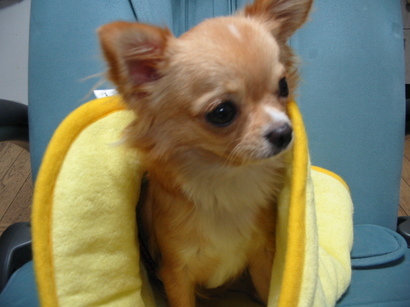 ���݂ʂ���������Ƃ��ʂ̂킳��