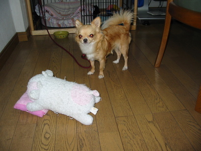 ���݂ʂ���������Ƃ��ʂ̂킳��