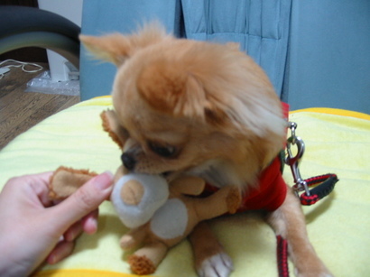 ���݂ʂ���������Ƃ��ʂ̂킳��