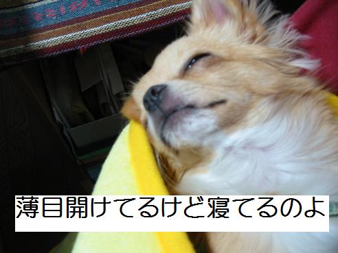 ���݂ʂ���������Ƃ��ʂ̂킳��