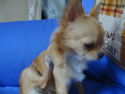 ���݂ʂ���������Ƃ��ʂ̂킳��