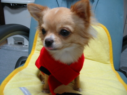 ���݂ʂ���������Ƃ��ʂ̂킳��