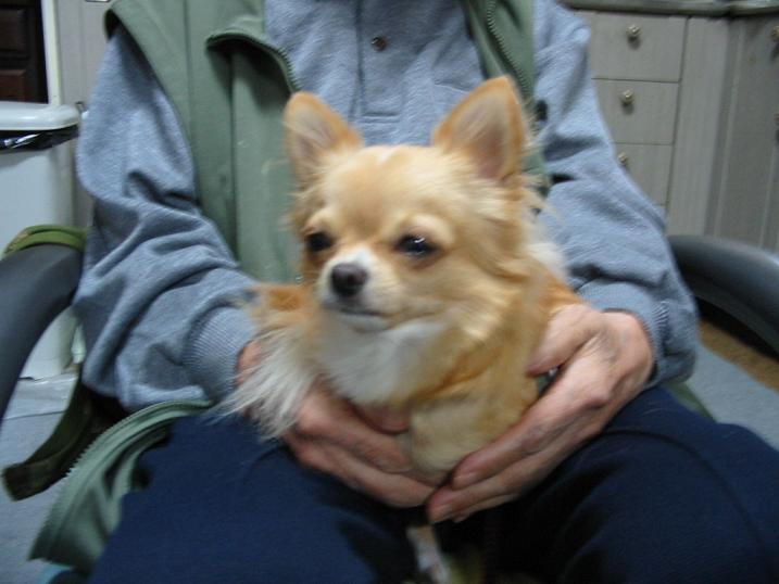 ���݂ʂ���������Ƃ��ʂ̂킳��