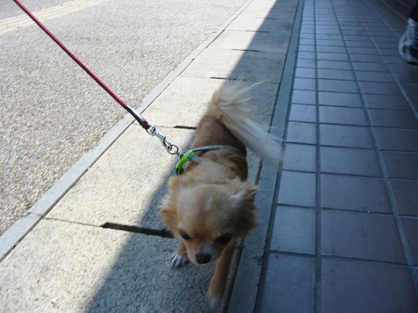 ���݂ʂ���������Ƃ��ʂ̂킳��