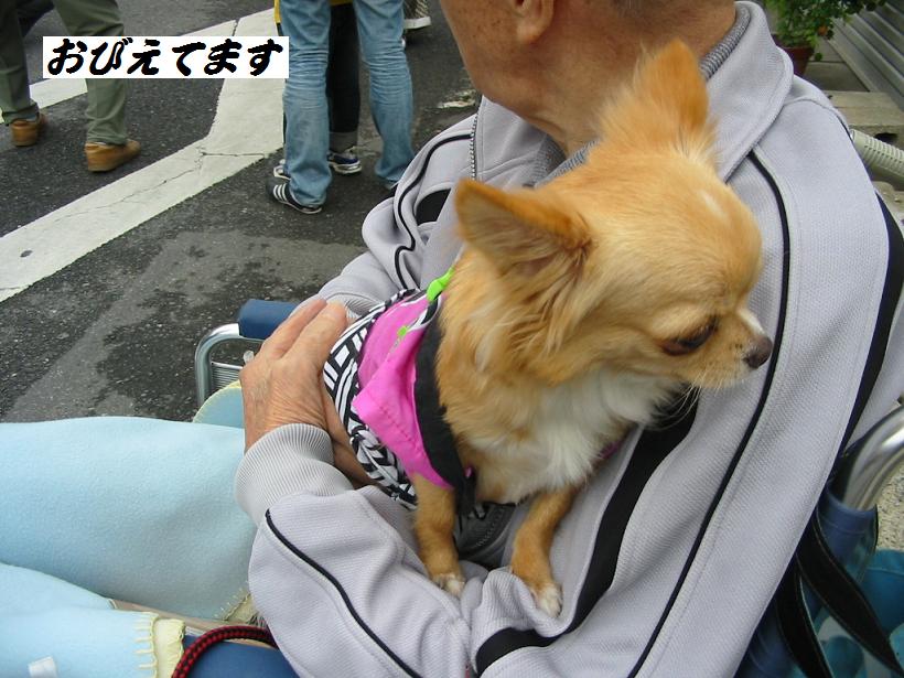 ���݂ʂ���������Ƃ��ʂ̂킳��