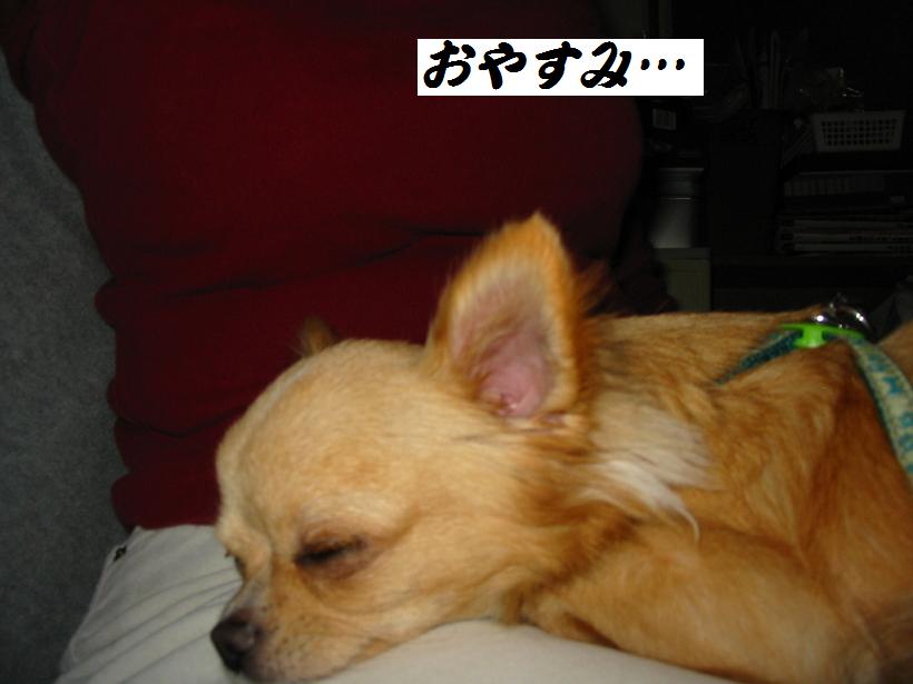 ���݂ʂ���������Ƃ��ʂ̂킳��