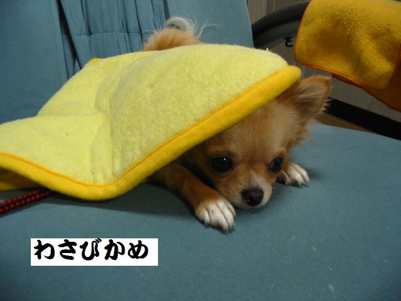 ���݂ʂ���������Ƃ��ʂ̂킳��