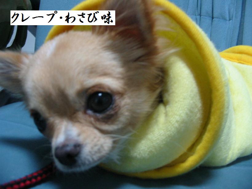 ���݂ʂ���������Ƃ��ʂ̂킳��