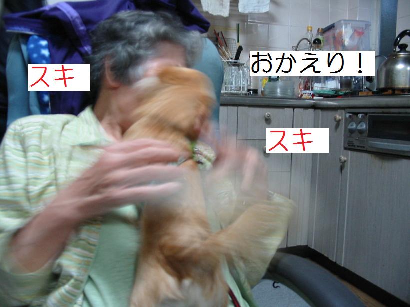 ���݂ʂ���������Ƃ��ʂ̂킳��