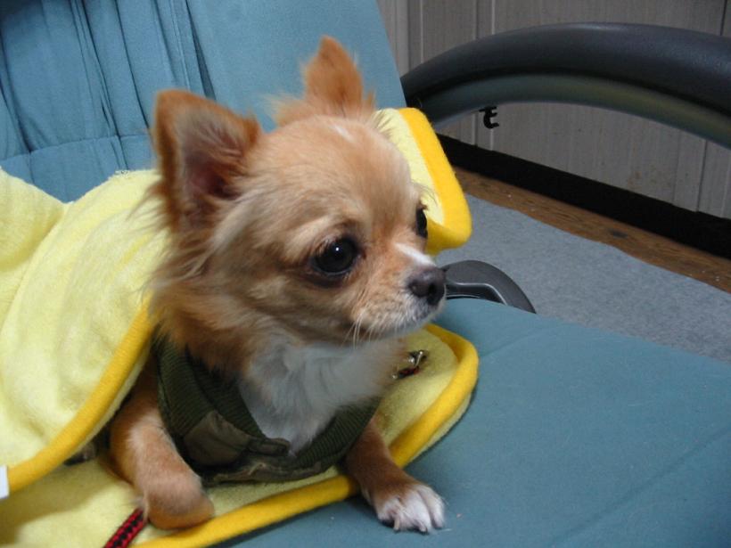 ���݂ʂ���������Ƃ��ʂ̂킳��