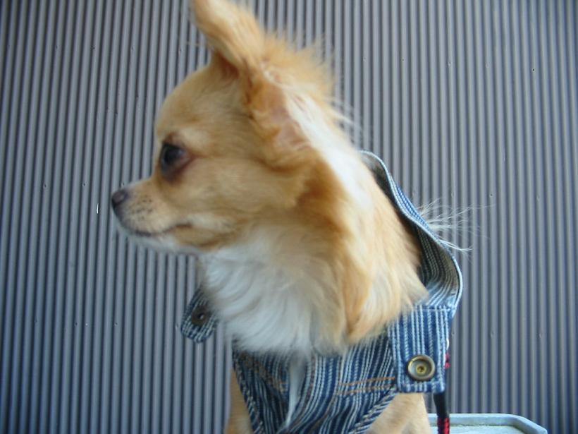 ���݂ʂ���������Ƃ��ʂ̂킳��