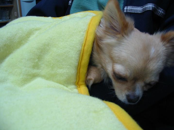 ���݂ʂ���������Ƃ��ʂ̂킳��