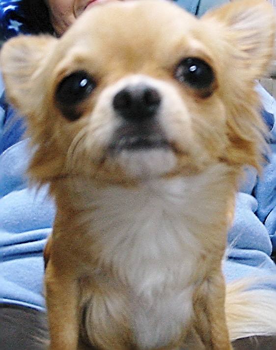 ���݂ʂ���������Ƃ��ʂ̂킳��