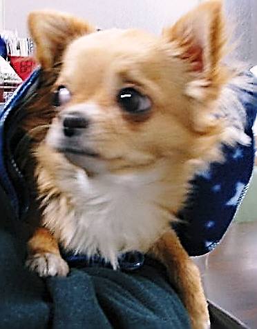 ���݂ʂ���������Ƃ��ʂ̂킳��