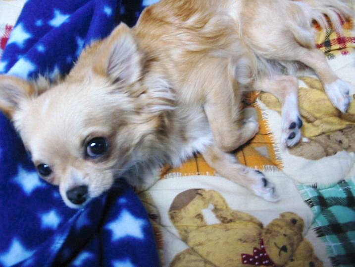 ���݂ʂ���������Ƃ��ʂ̂킳��