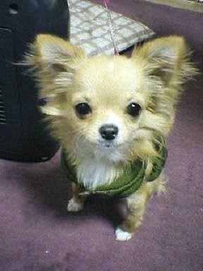 ���݂ʂ���������Ƃ��ʂ̂킳��