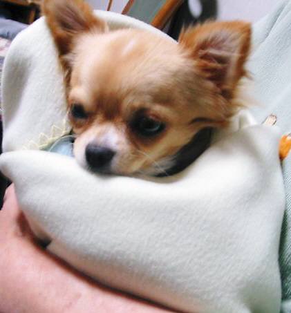 ���݂ʂ���������Ƃ��ʂ̂킳��