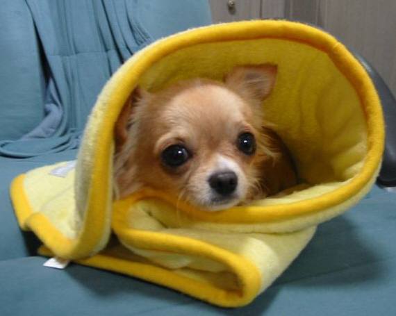 ���݂ʂ���������Ƃ��ʂ̂킳��