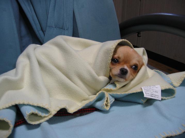 ���݂ʂ���������Ƃ��ʂ̂킳��