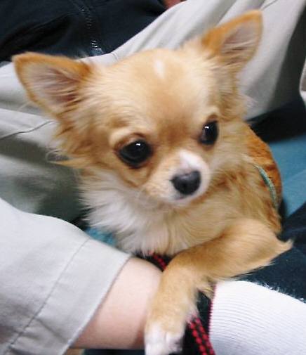 ���݂ʂ���������Ƃ��ʂ̂킳��