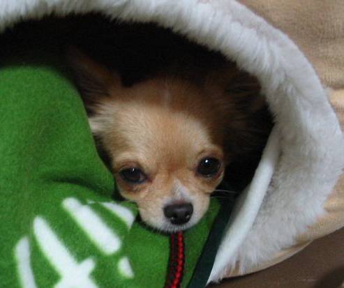 ���݂ʂ���������Ƃ��ʂ̂킳��