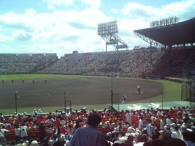 �^�C�K�[�X��ϐ��