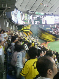 �^�C�K�[�X��ϐ��