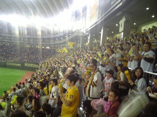 �^�C�K�[�X��ϐ��