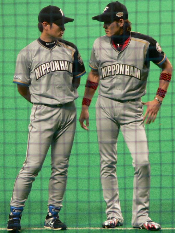 �^�C�K�[�X��ϐ��